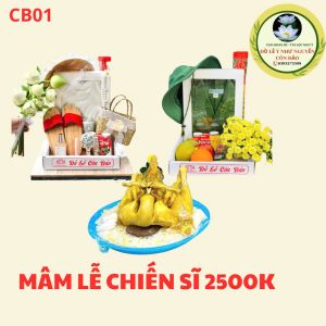 COMBO ĐỒ LỄ CÔ SÁU & LỄ TƯỢNG ĐÀI CHIẾN SĨ - MÂM LỄ XÔI GÀ